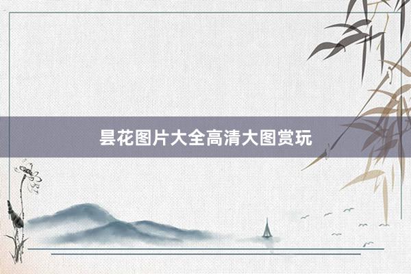 昙花图片大全高清大图赏玩